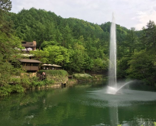 자연휴양림 BEST 5 2023년 신축