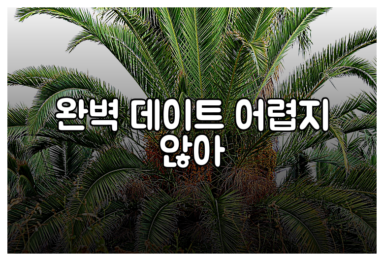 완벽 데이트 어렵지 않아