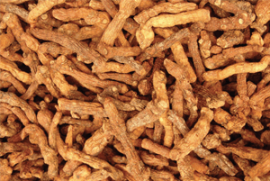 둥굴레차효능06