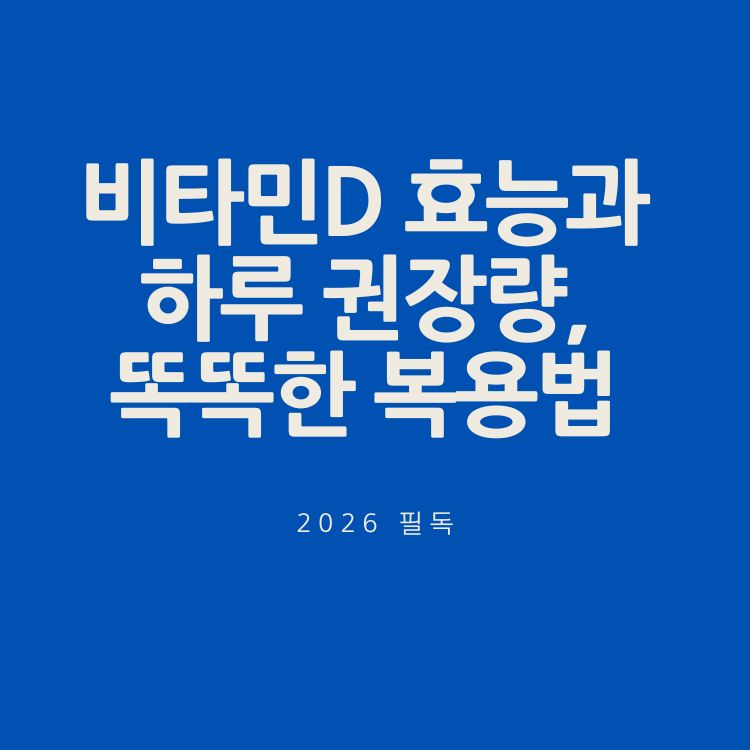 비타민D 효능과 하루 권장량