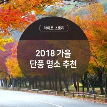 가을 단풍 명소 대중교통 걷기 코스 무료주차 팁_23