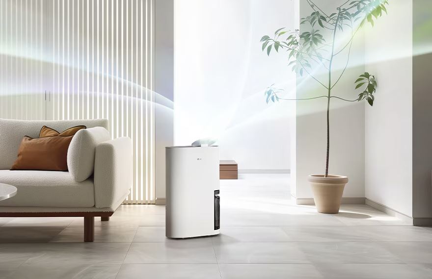 좌측에 소파, 탁자, 쿠션, 가운데 LG제습기, 우측에 화분1개