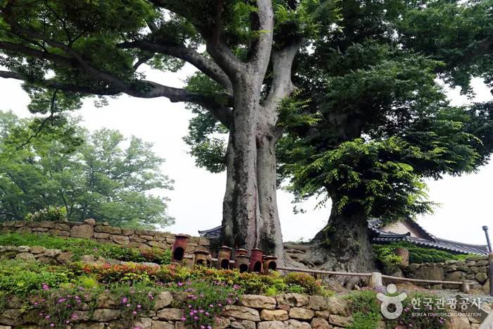 대흥사 (전남 해남)