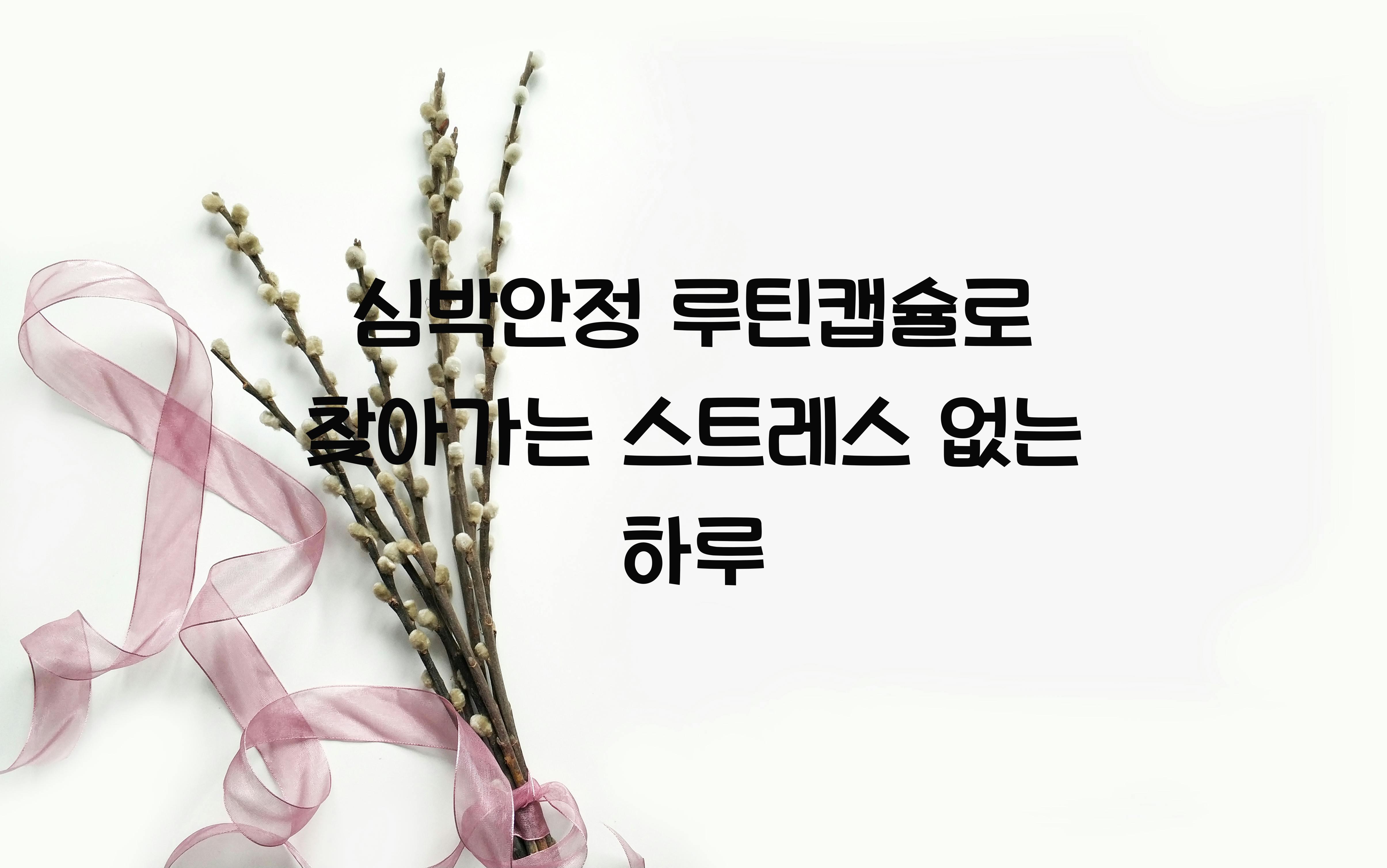 심박안정 루틴캡슐