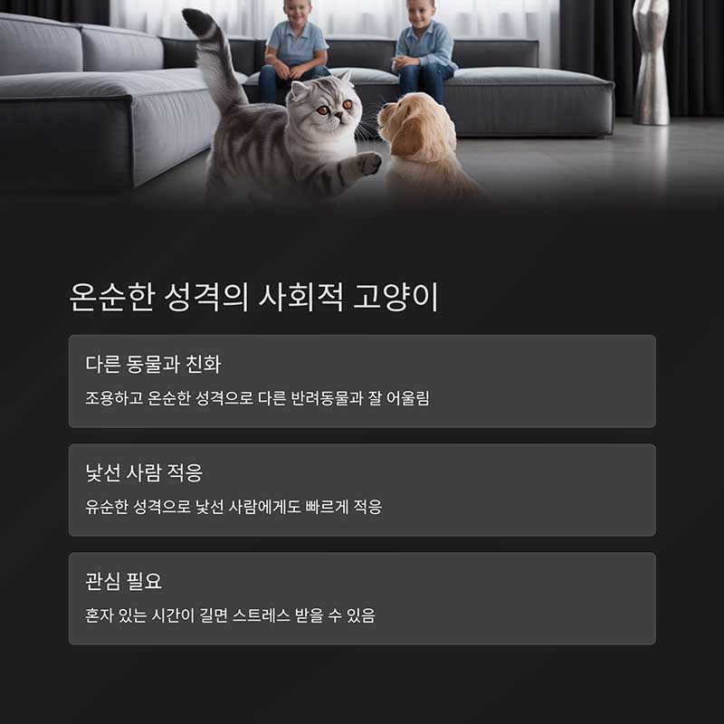 조용하고 온순한 성격