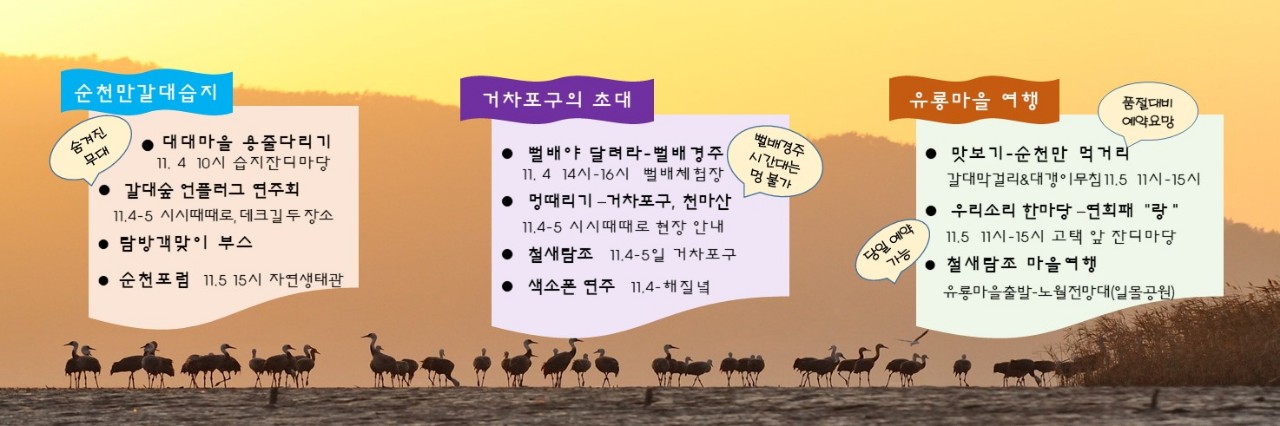 갈대축제 브로셔 후면