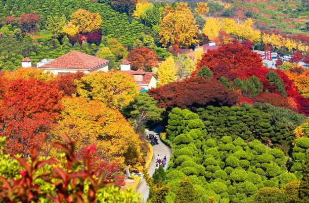 베어트리파크 단풍축제