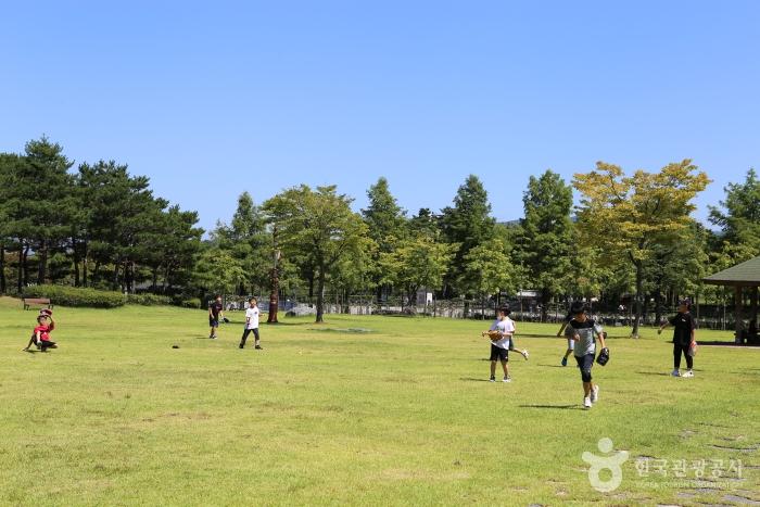 대전근교 주말나들이 한밭수목원