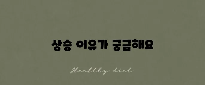 원익홀딩스 주가 전망과 상승 이유를 살펴보니 정말 흥미롭습니다.