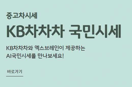 중고차 kb 차차차