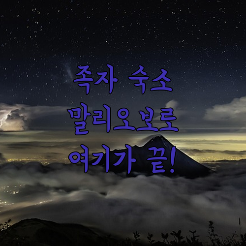 아직도 숙소 고민 중이라면 꼭 봐야 ..
