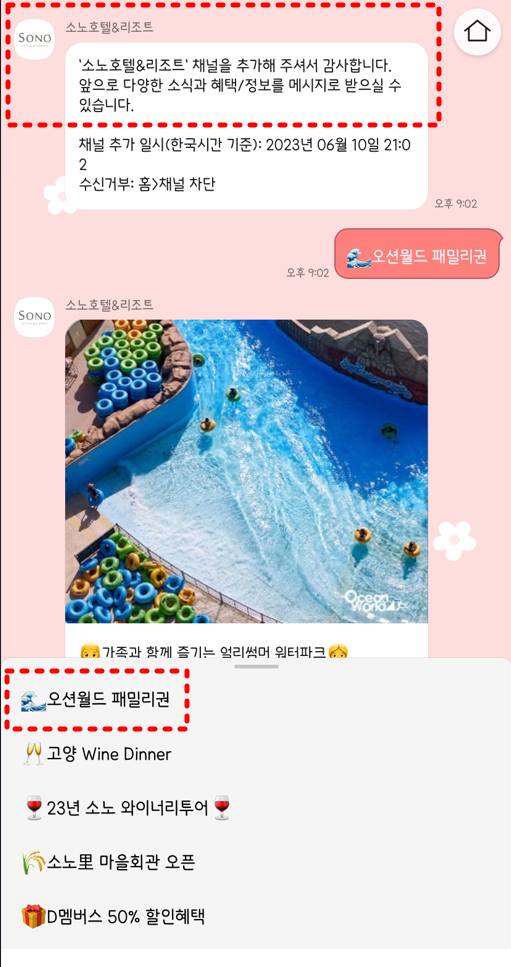 오션월드 할인