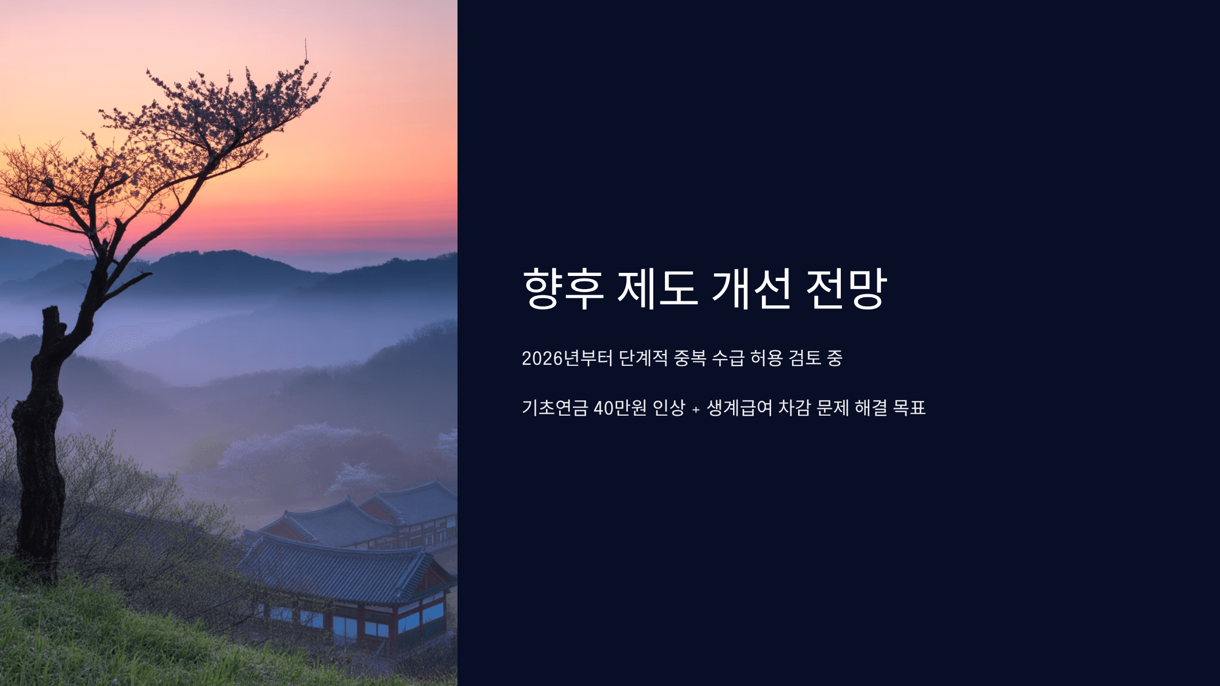 향후 제도 개선 전망