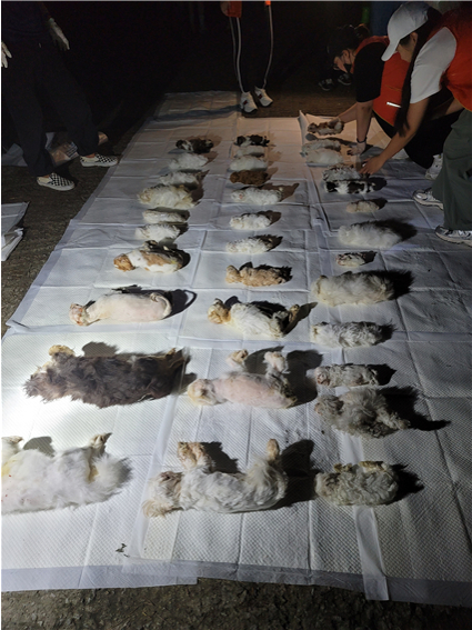 동물권 행동 단체 카라 등이 지난 9월 1일 경기 화성시에 있는 강아지 번식장 냉동고에 발견한 93구의 사체. [사진=카라]