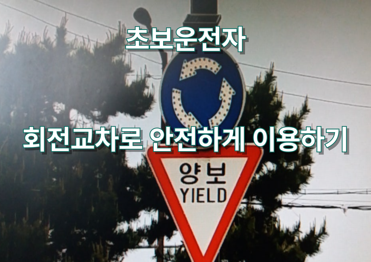 '초보운전자 회전교차로 안전하게 이용하기' 회전교차로 안내 이미지