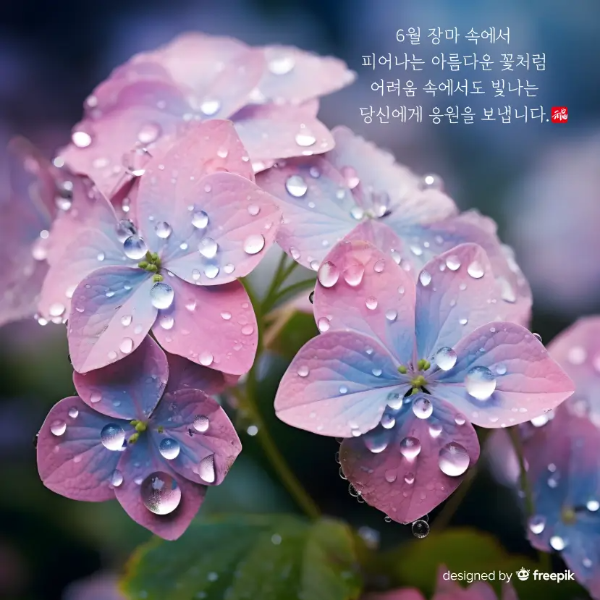 6월-이미지-5