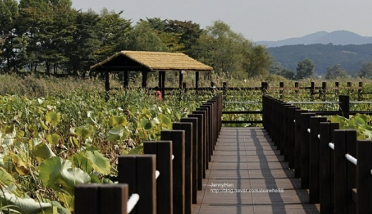경기도 근교 주말에 아이와 가볼만한 곳 4가지 추천 