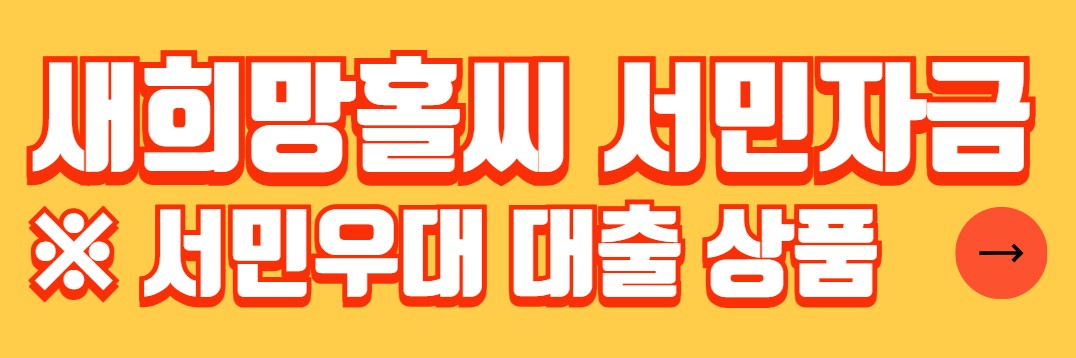 정부지원 저금리 서민대출