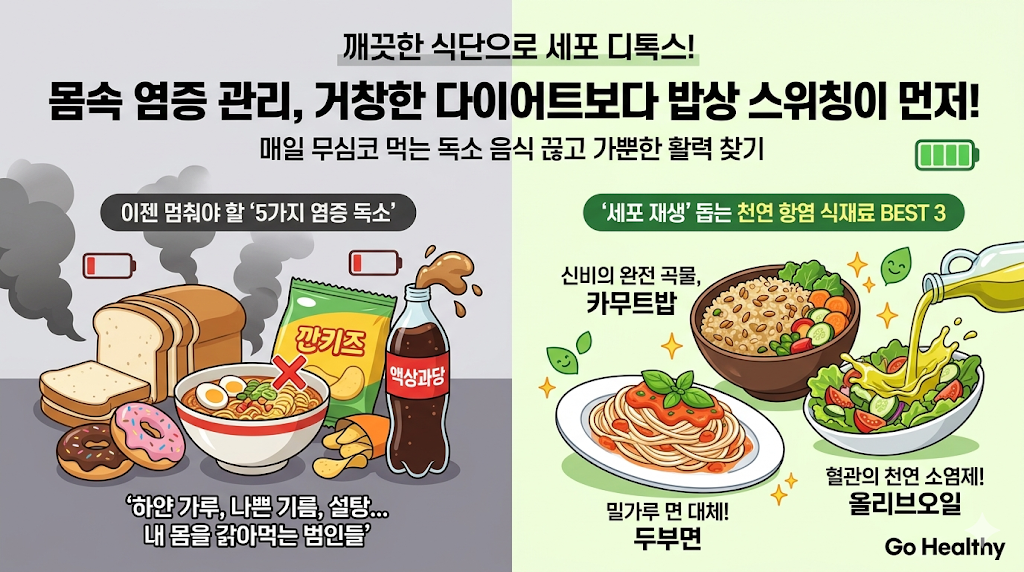 몸속 염증 관리: 나도 모르게 장기를 망가뜨리는 5가지 독소 음식과 일상 항염 대체 식재료 가이드