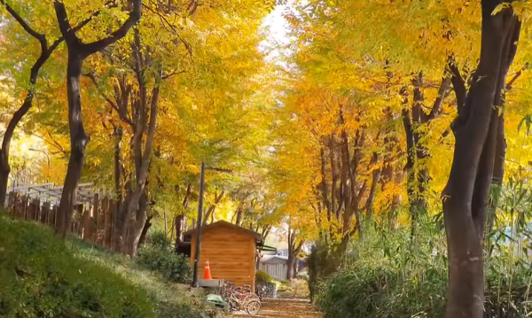 나만알고싶은여행지