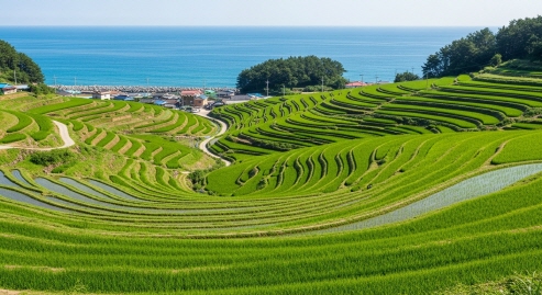 계단식 논과 바다가 어우러진 다랭이마을