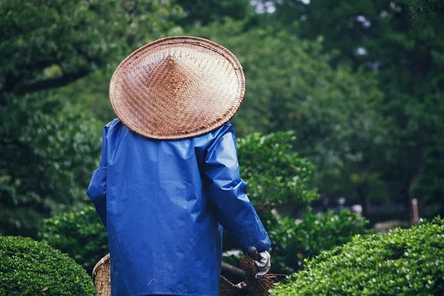 쌈장 맛있게 만드는 법 정리_1