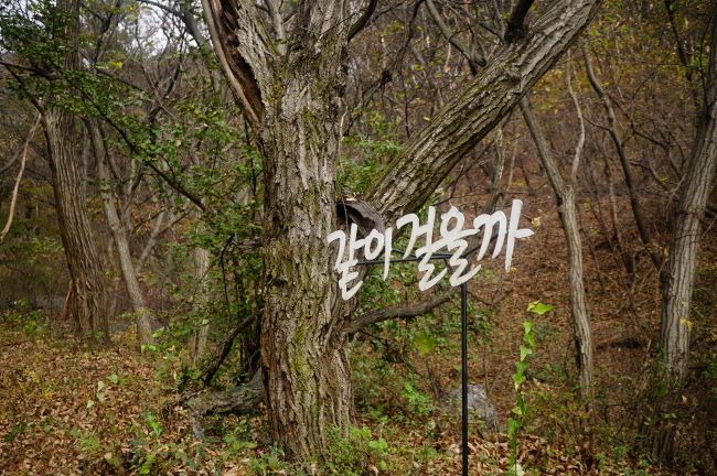 응원문구, 같이 걸을까, 흰글씨,