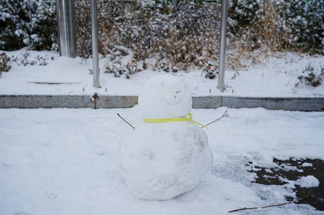 눈사람 사진