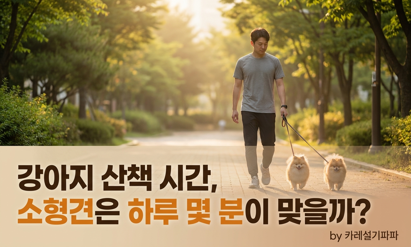 포메라니안 두 마리와 산책하는 남성