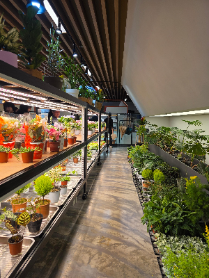 서울수목원의 가치