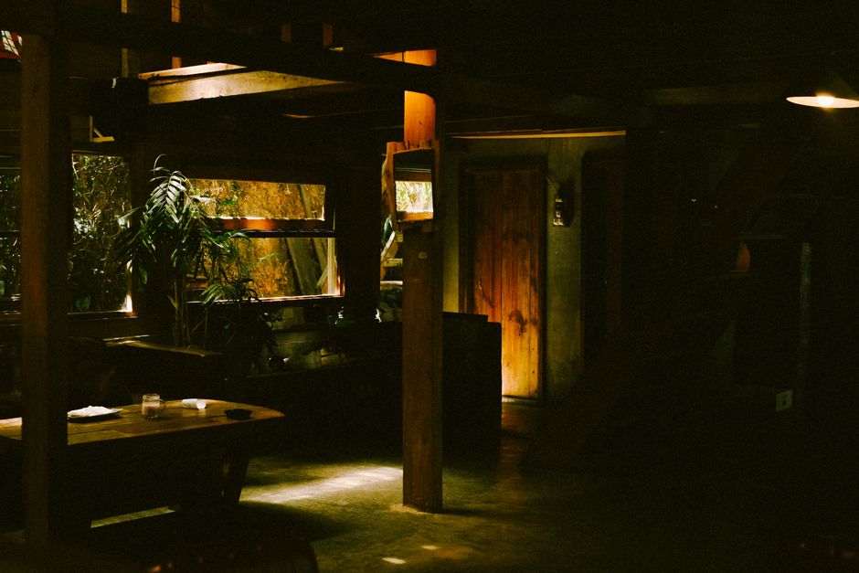 Warm and inviting wooden interior with plants, creating a cozy atmosphere.