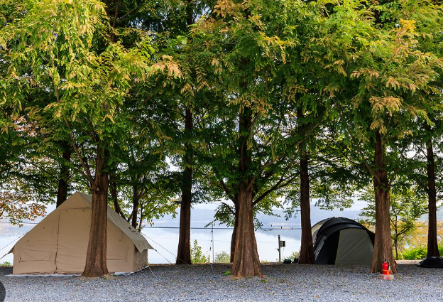 제천 청풍호반 오토캠핑장, 가족과 함께 즐기는 힐링 여행지