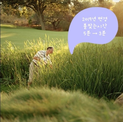 볼찾기