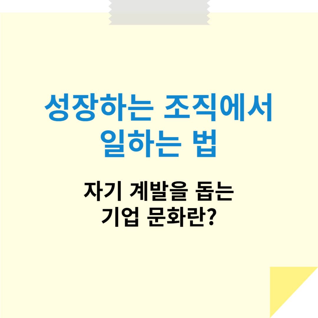 성장하는 조직에서 일하는 법: 자기 계발을 돕는 기업 문화란?