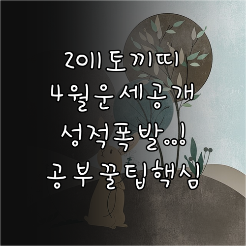2011년생 토끼띠 4월 운세 요약과..