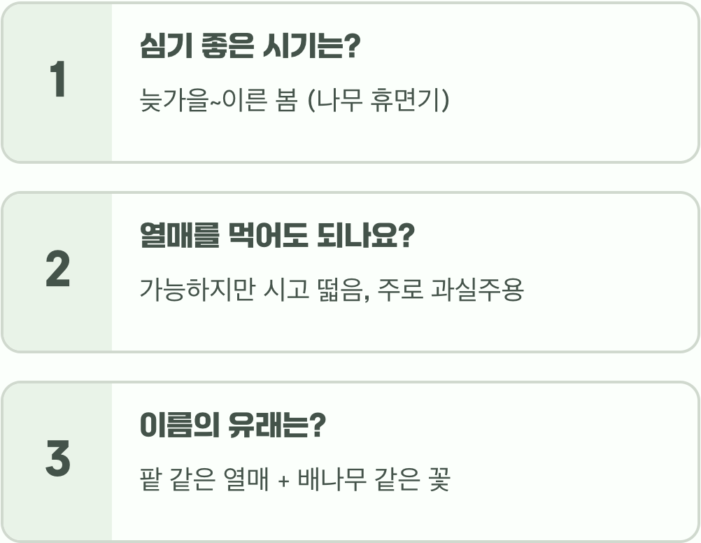 정원수로 팥배나무 키우기&amp;#44; 실패하지 않는 5가지 비결