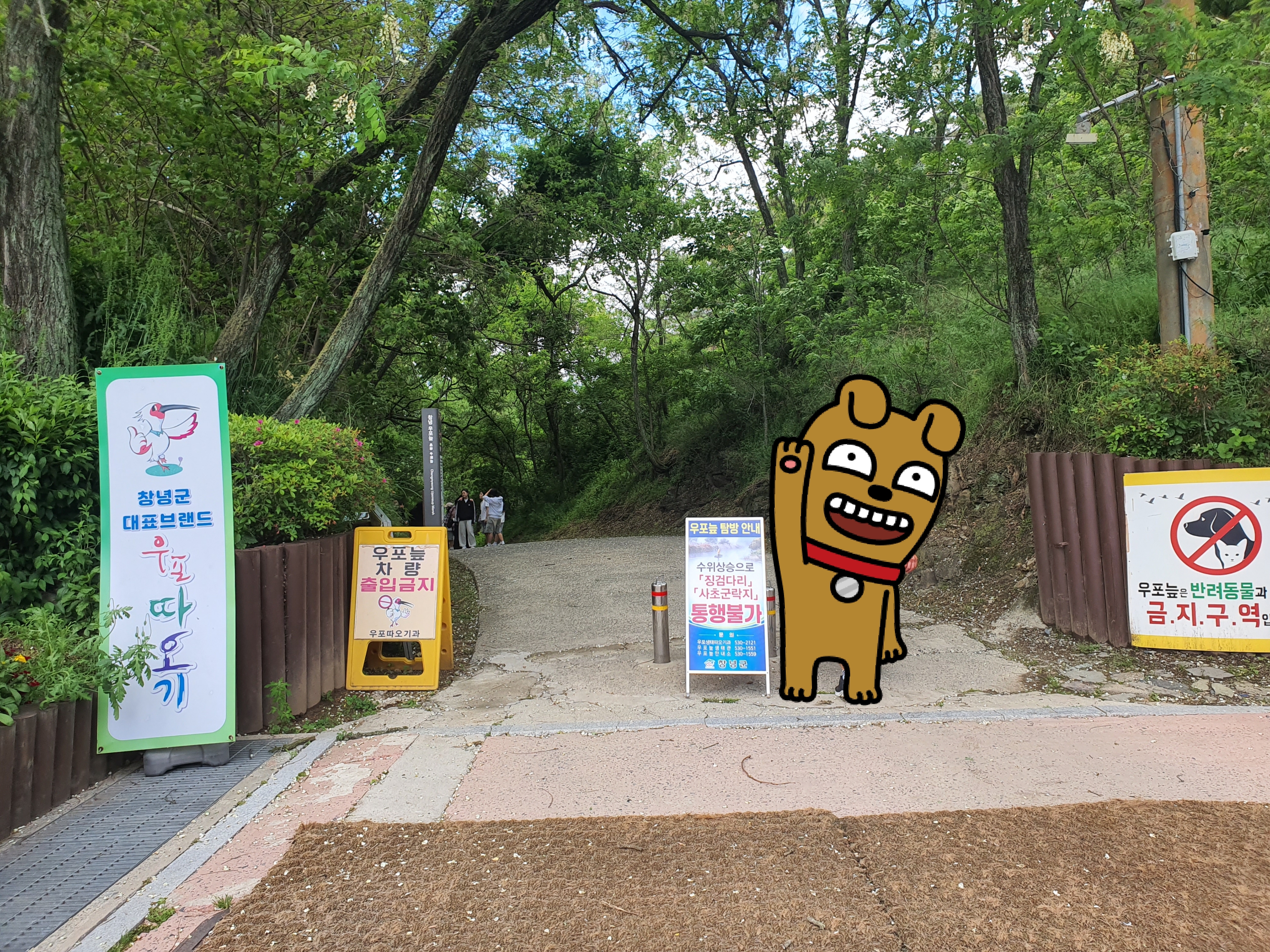 우포늪 생명길