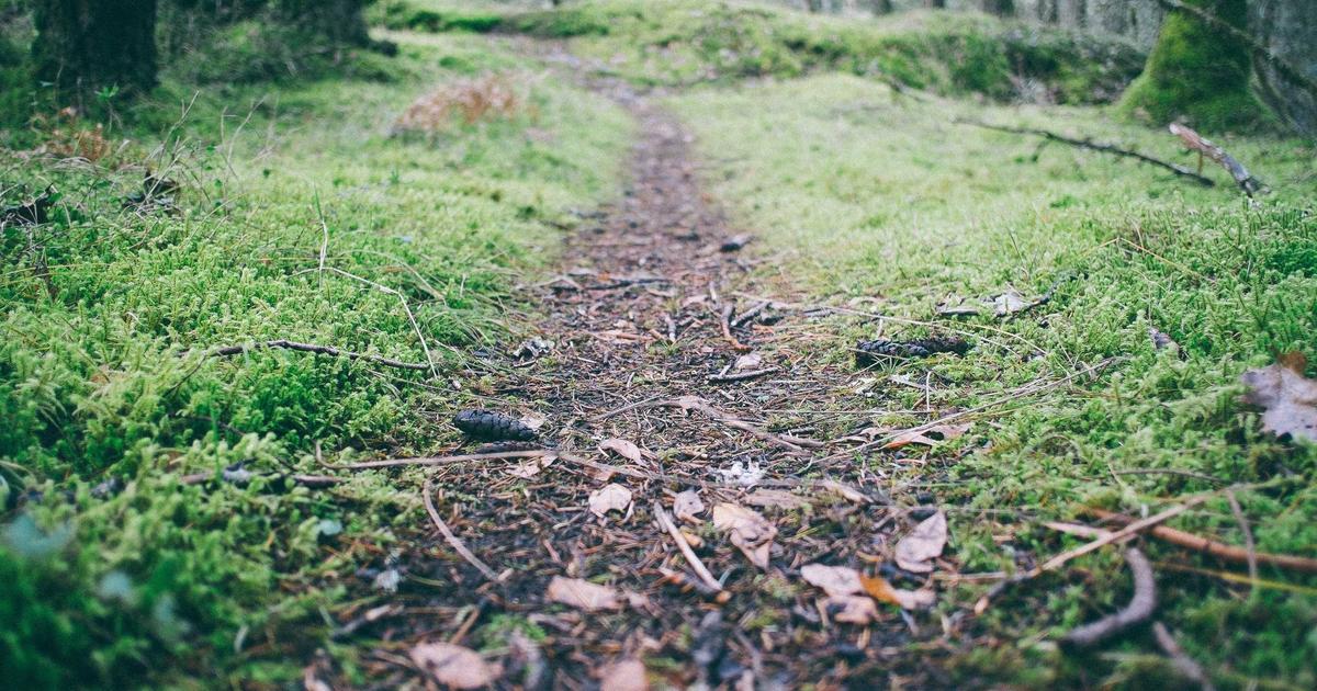 traveler packing reusable items