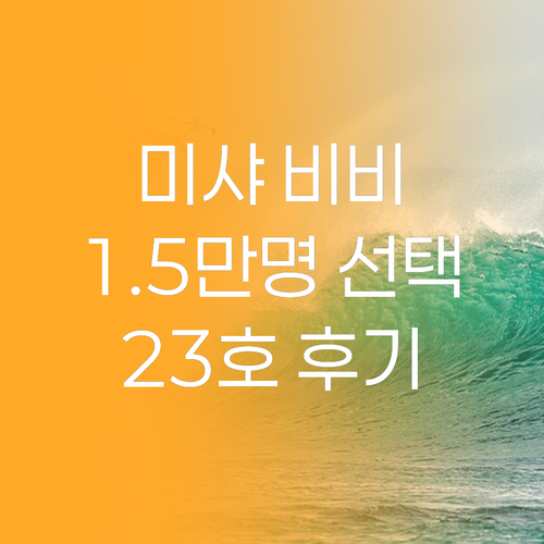 미샤 초보양 비비크림, 왜 15,00
