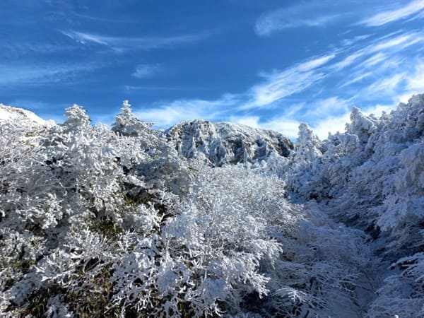 우리나라 최고의 설경 이 곳!