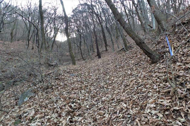 가파른 비탈길, 낙엽에 묻혀 길이 안보여요, 우측에 리본 보고 우측 능선으로 합류,