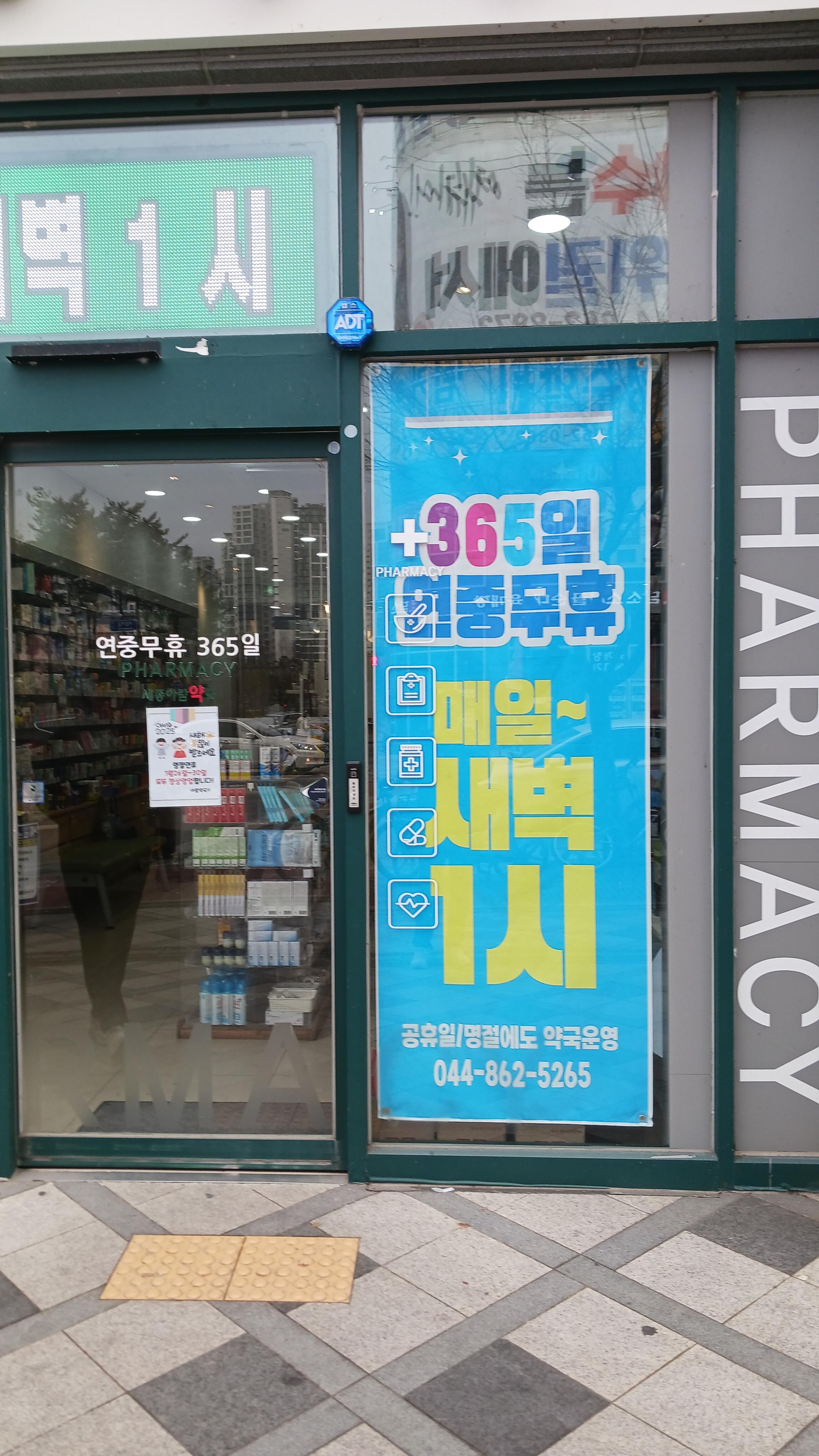 세종 설연휴 약국