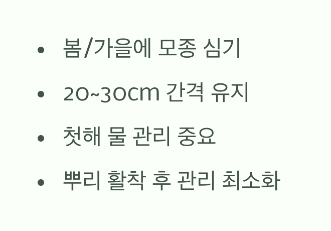 어떻게 심어야 할까? (성공을 위한 팁)