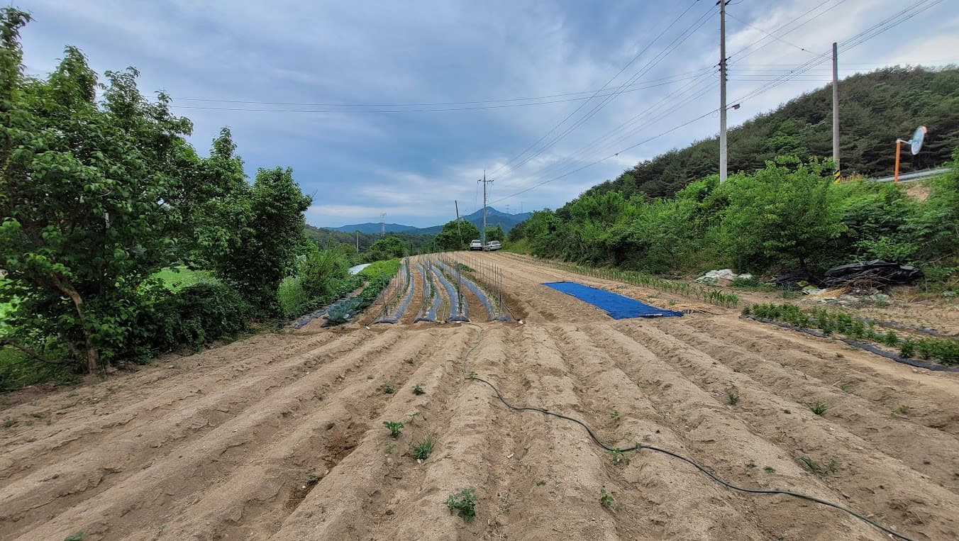 농사 준비중이 밭 풍경