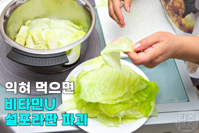 위에좋은음식 양배추 먹으면 안되는 사람 양배추먹는법 양배추 생으로 먹으면