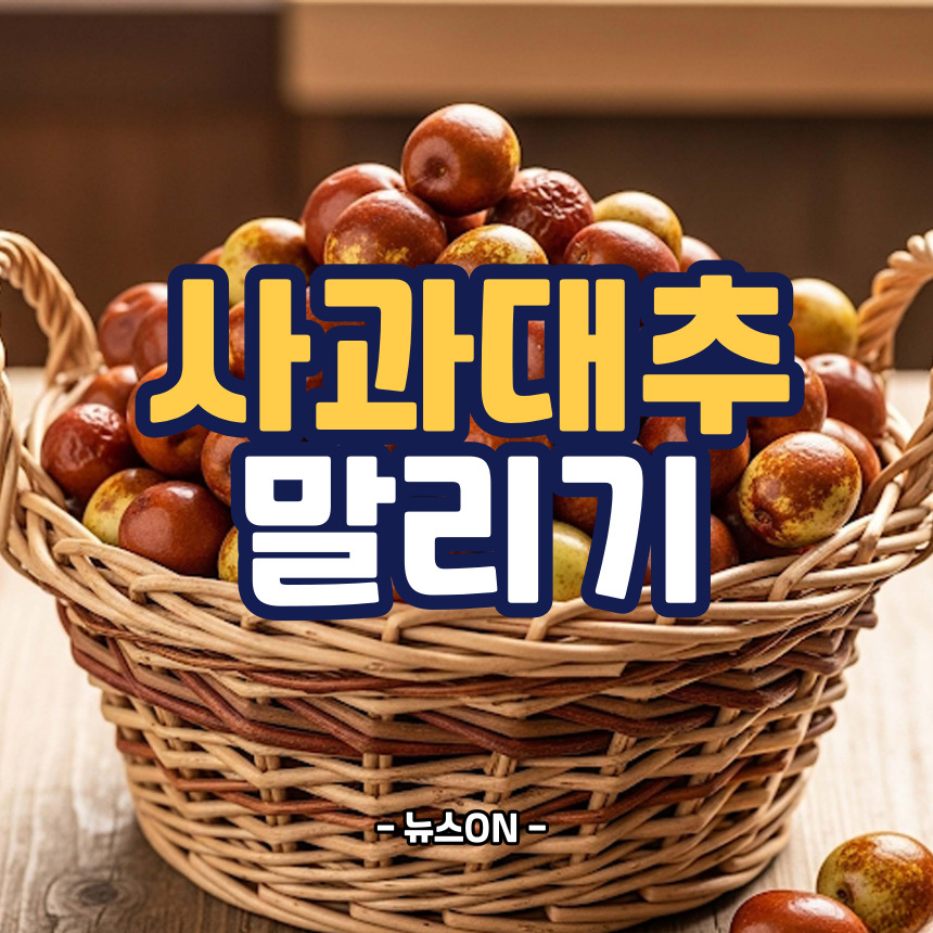사과대추 말리기