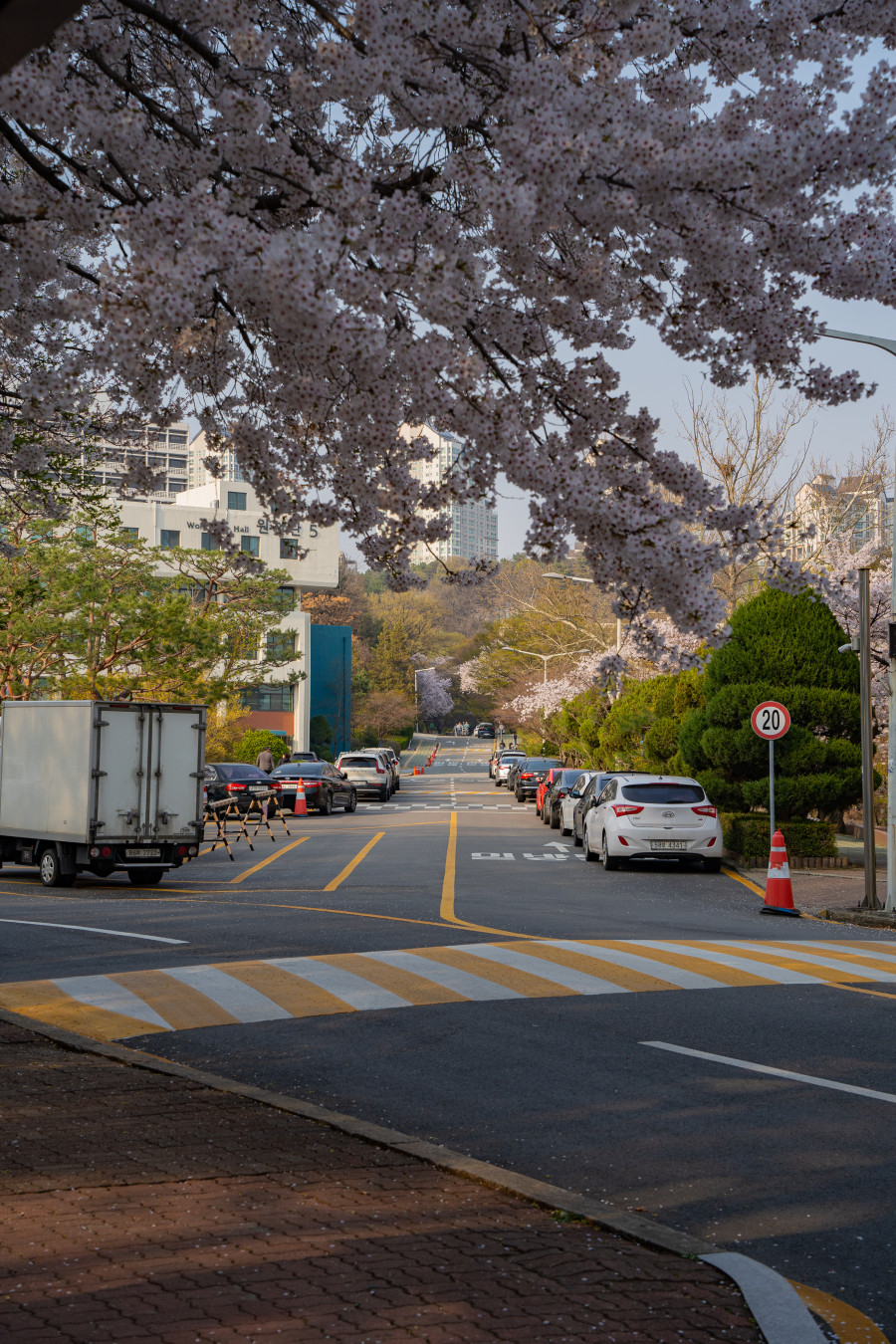 아주대학교 도로 주차