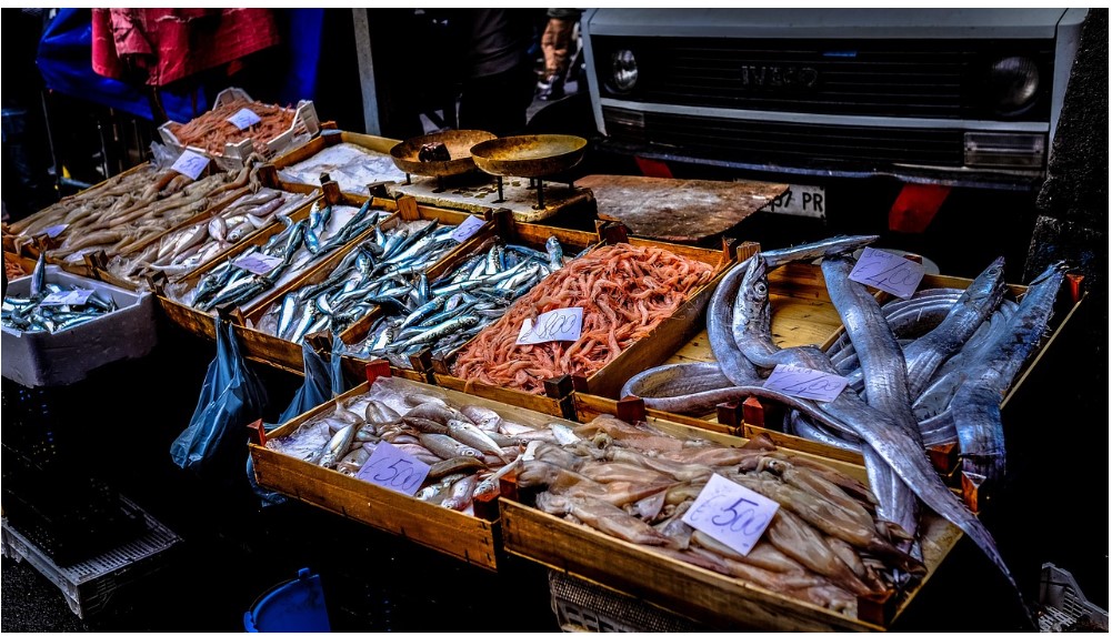 긴급경영안정자금 신청방법 총정리