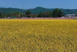 농지연금 수령액 계산 방법