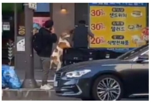 개물림사고